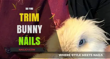 Bunny Nail Trimming: An Essential Part of Pet Care
