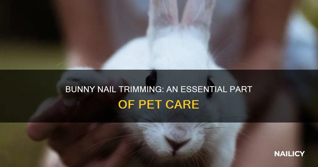 do you trim bunny nails