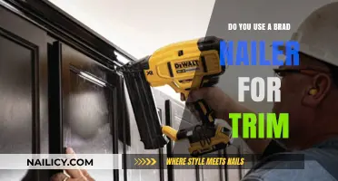 Precision in Trim Work: The Brad Nailer's Role Revealed