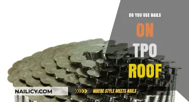 Nailing Down the Facts: TPO Roofing Installation Best Practices