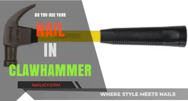 Precision in Carpentry: The Claw Hammer's Nail-Driving Techniques