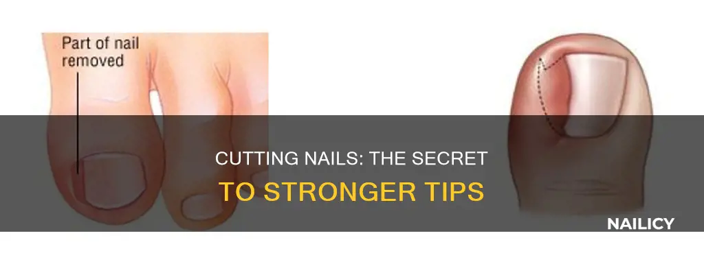 do your nails grow stronger after cut