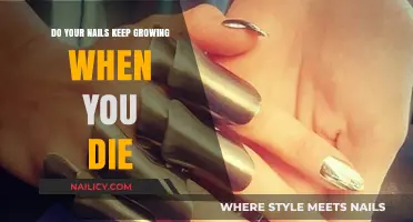 The Mystery of Postmortem Nail Growth