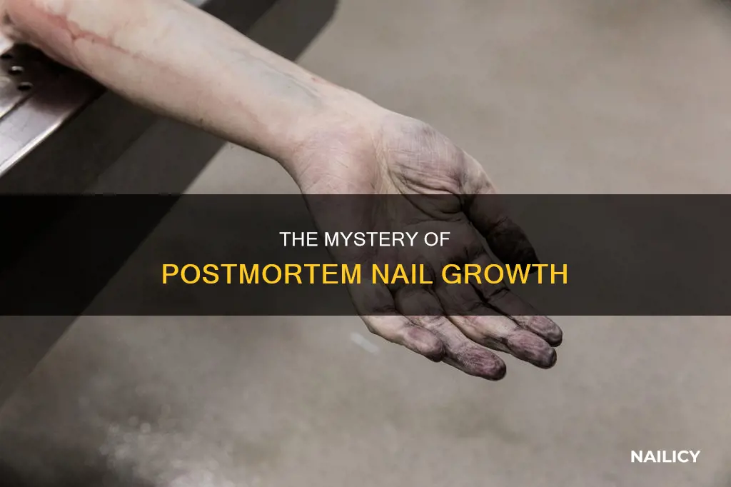 do your nails keep growing when you die