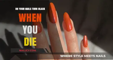 Why Do Nails Turn Black After Death? Understanding Postmortem Changes