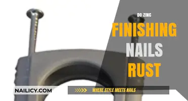 Will Zinc Finishing Nails Rust? Durability and Maintenance Explained