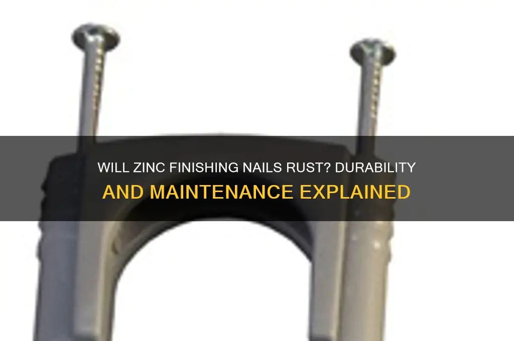 do zinc finishing nails rust