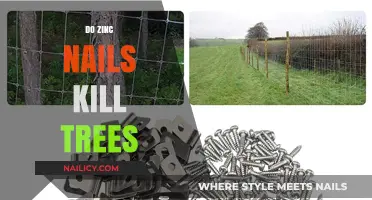 Zinc Nails and Tree Health: Debunking Myths and Understanding Risks