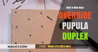 Pupula Duplex vs. 8-Inch Nails: Which Dominates in Functionality?