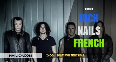 Exploring Nine Inch Nails' Influence on French Music and Culture