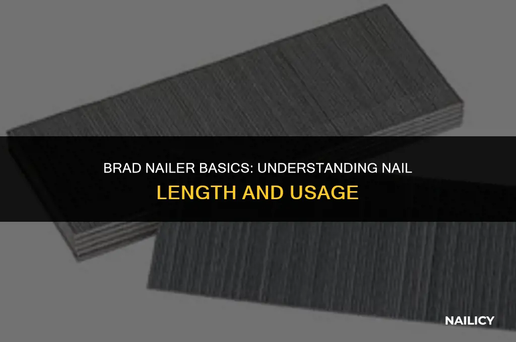does a 2 in brad nailer use shorter nails