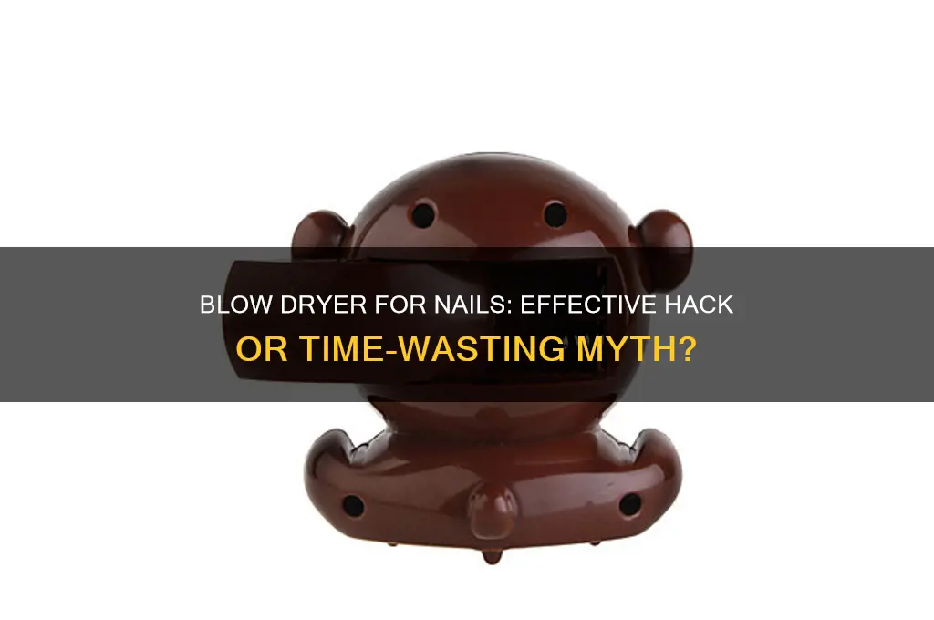 does a blow dryer help dry nails