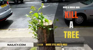 Can Brass Nails Harm Trees? Uncovering the Truth Behind the Myth