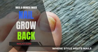 Can a Broken Nail Heal and Regrow?