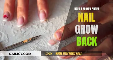 Broken Fingernail: Will It Grow Back?