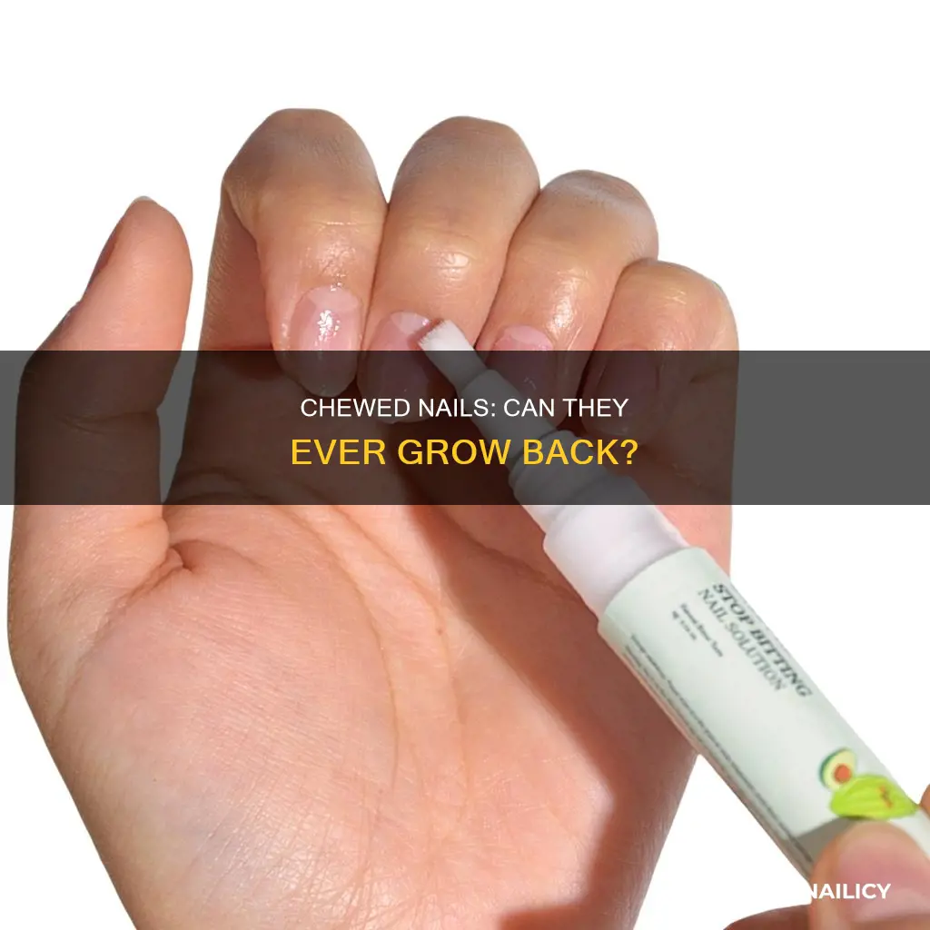 does a chewed off nail ever grow back