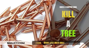 Copper Nail Myth: Can It Really Harm or Kill Trees?