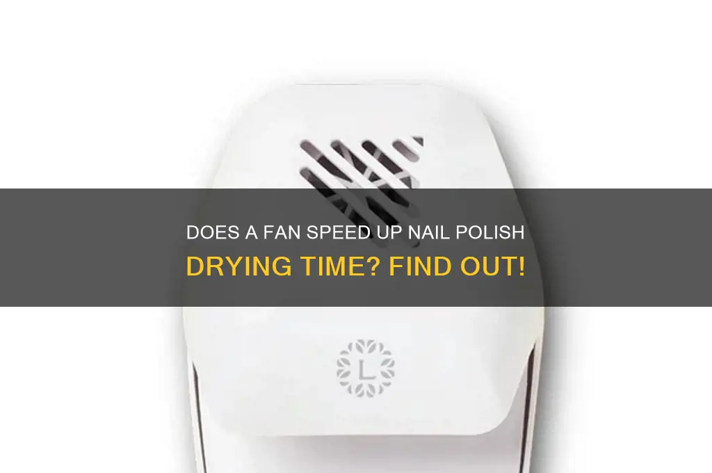 does a fan dry nail polish faster