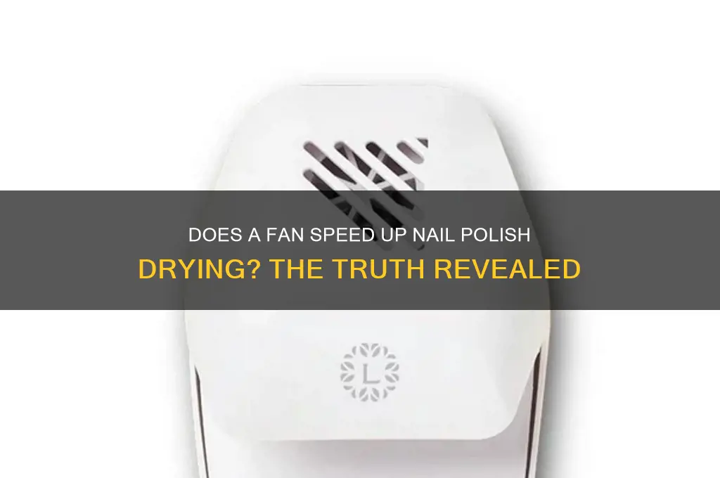 does a fan help nail polish dry
