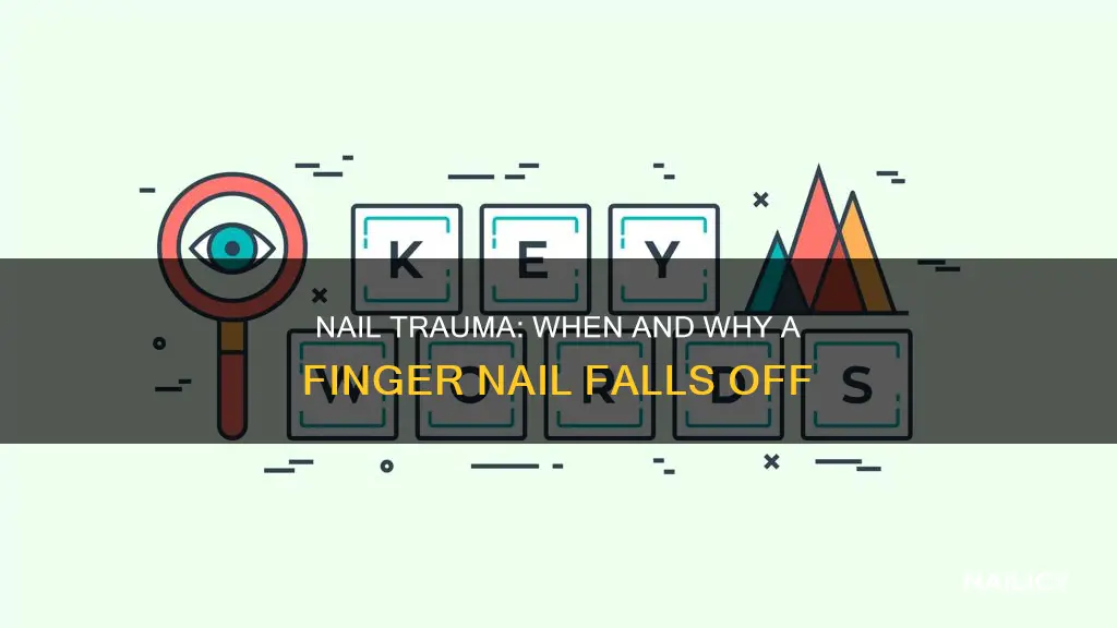 does a finger nail always fall off after trauma