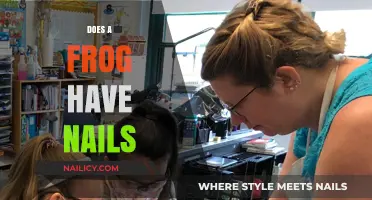 Do Frogs Have Nails? Unveiling the Truth About Amphibian Anatomy