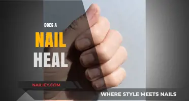 Can a Nail Fully Heal? Understanding Nail Injuries and Recovery