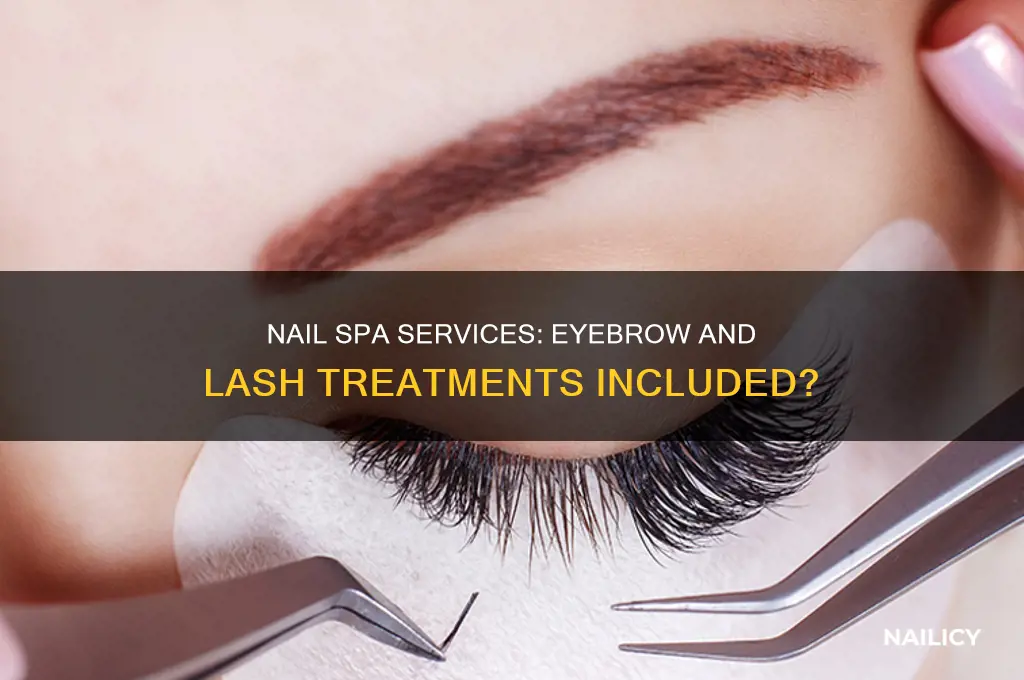 does a nail spa do eyebrows and lashes