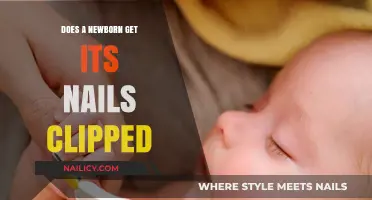 Newborn Nail Care: When and How to Clip Those Tiny Nails