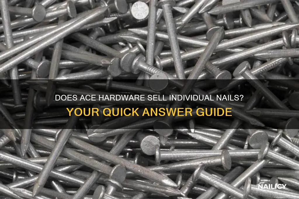 does ace sell individual nails