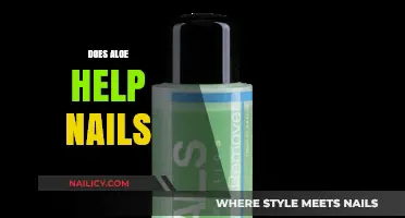 Aloe Vera for Nail Health: Benefits, Uses, and Effectiveness Explained