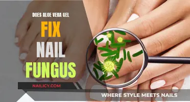 Aloe Vera Gel: A Natural Remedy for Nail Fungus?