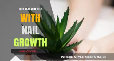 Aloe Vera for Nail Growth: Fact or Fiction? Discover the Truth