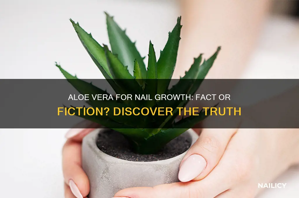 does aloe vera help with nail growth