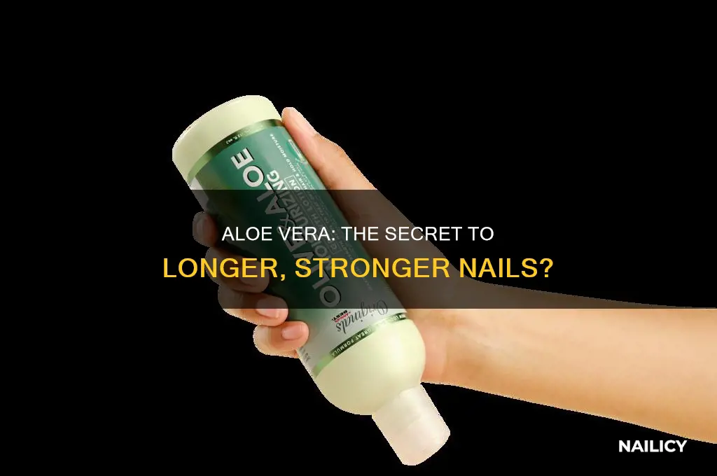 does aloe vera make your nails grow