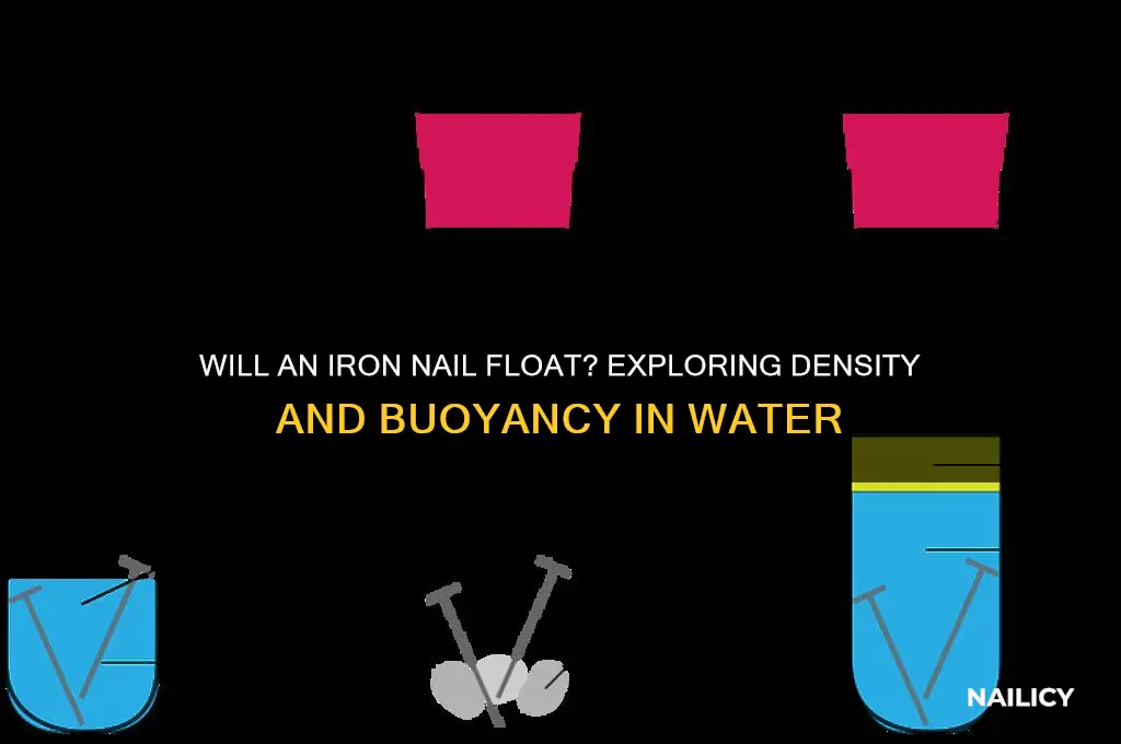 does an iron nail float in water