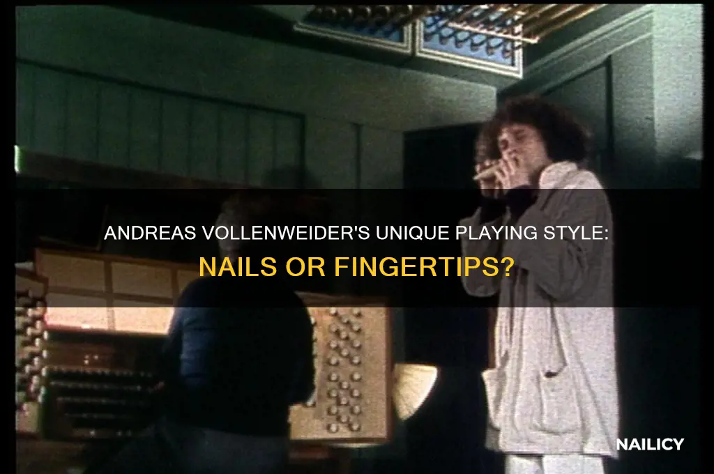 does andreas vollenweider have nails on his hands