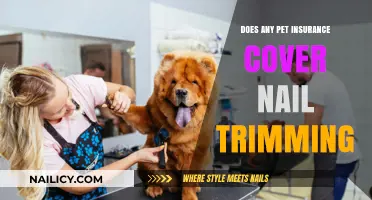Pet Insurance: What Nail Trimming Covers