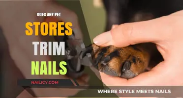 Pet Stores Offering Nail Trimming Services