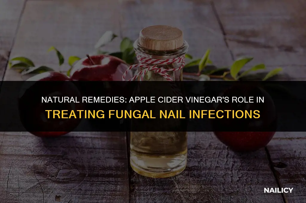 does apple cider vinegar get rid of fungus nail