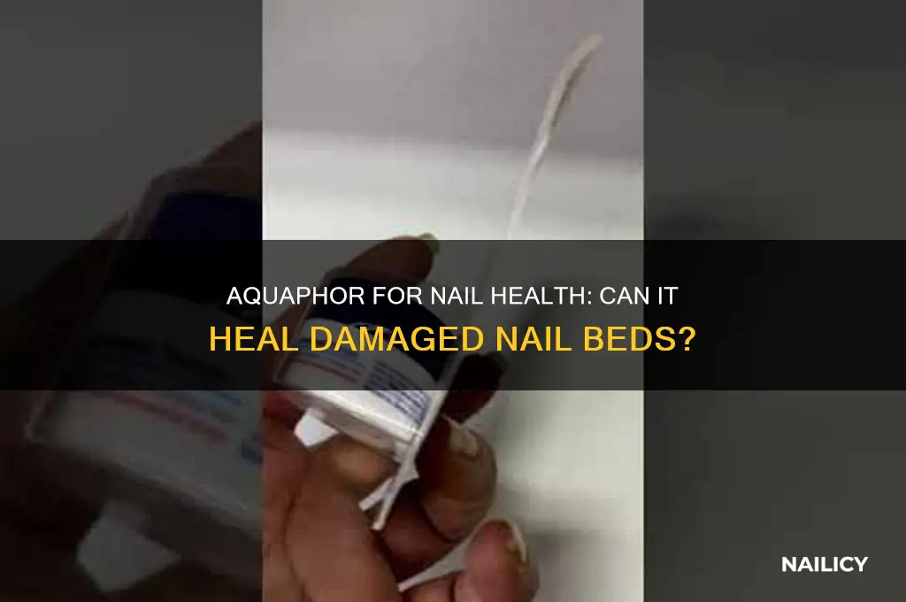does aquaphor helps with bad nail beds