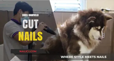 Banfield's Nail Trimming Services: What Pet Owners Need to Know