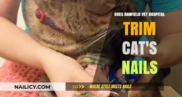 Banfield Vet Hospital: Trimming Your Cat's Nails