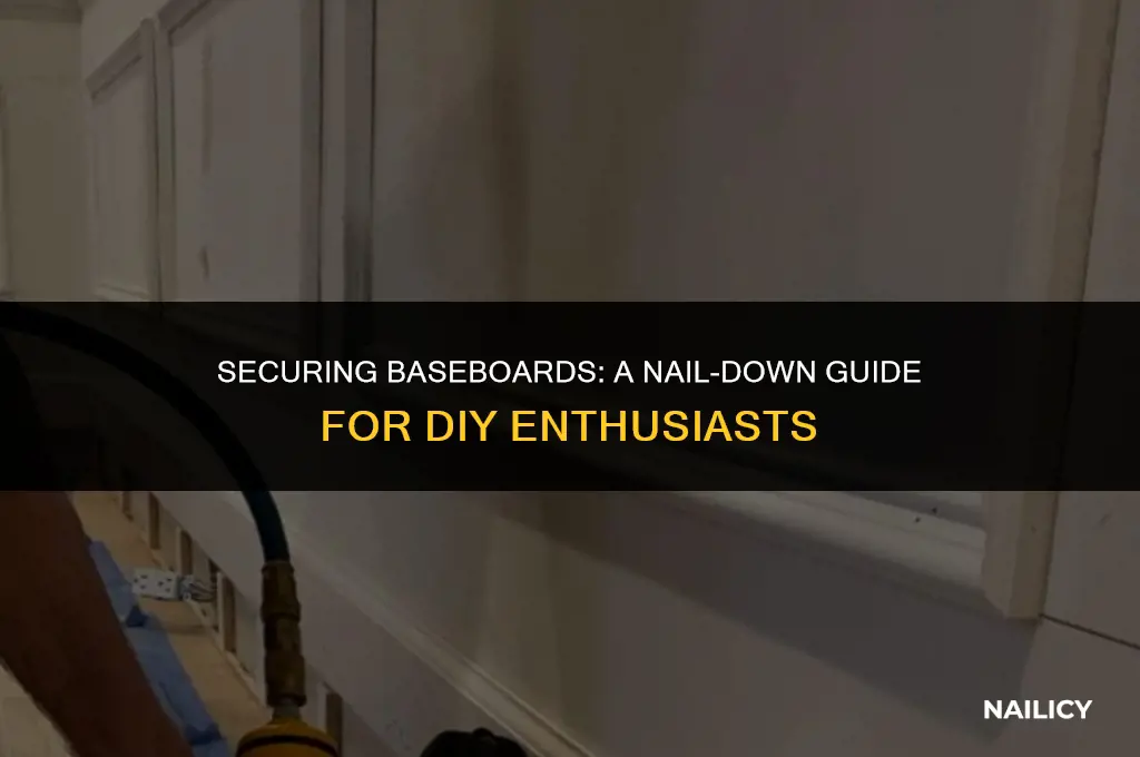 does baseboard get nailed to studs