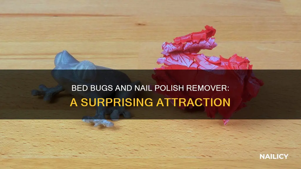 does bed bugs like nail polish remover