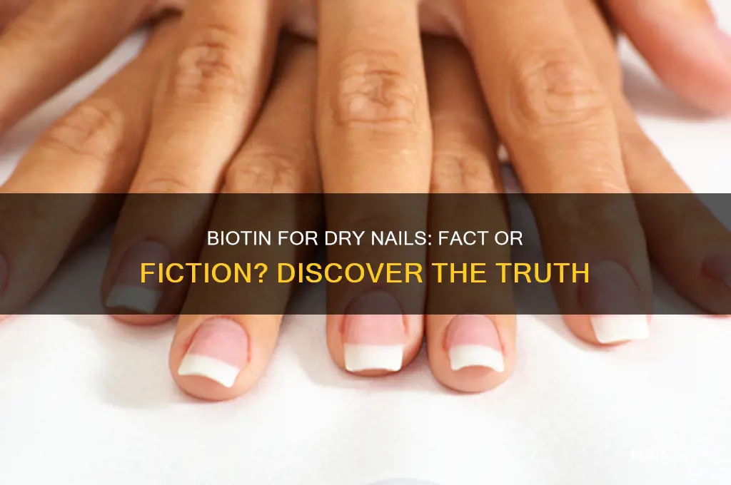 does biotin help dry nails
