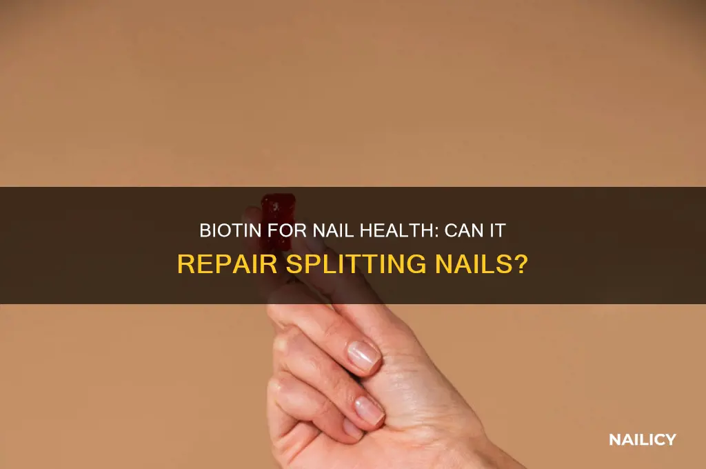 does biotin help splitting nails