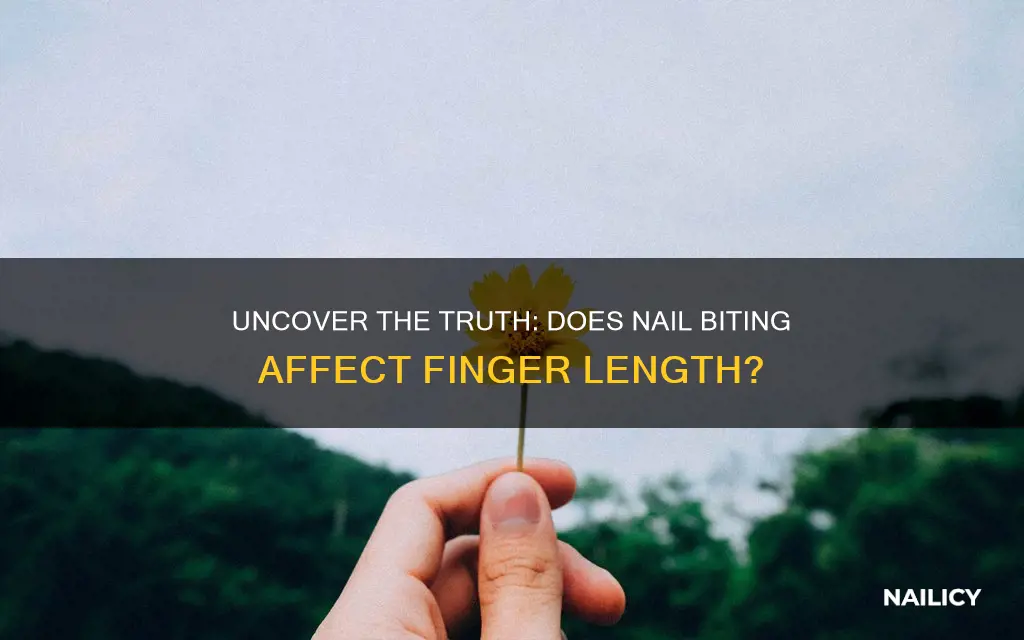 does biting your nails stunt finger growth