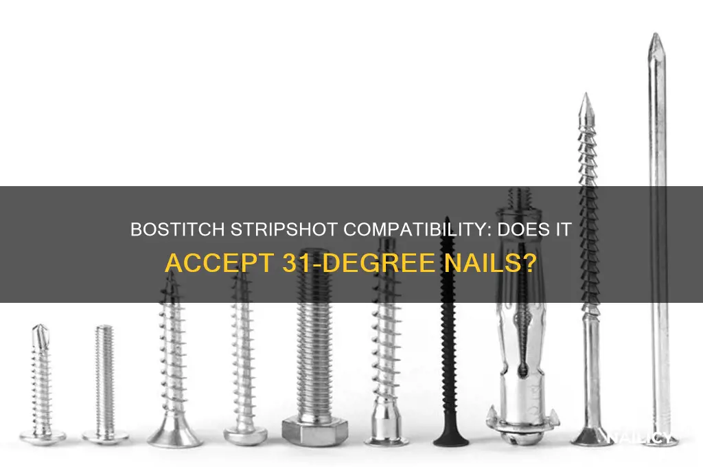 does bostitch strpshot accept 31 degree nails