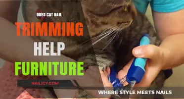Trimming Cat Nails: Saving Your Furniture