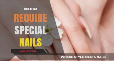 Cedar Wood Projects: Choosing the Right Nails for Durability